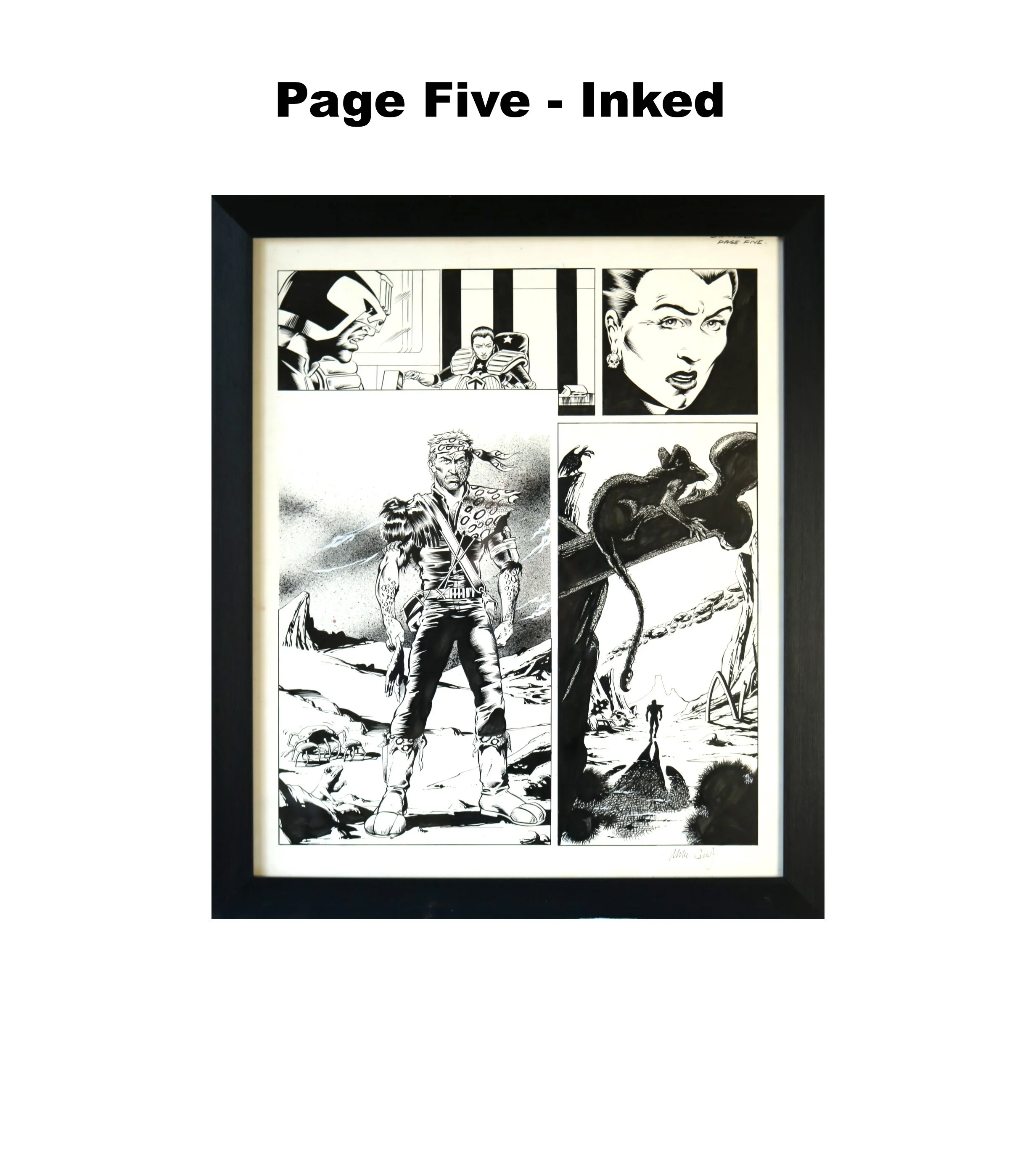 Thumbnail 6